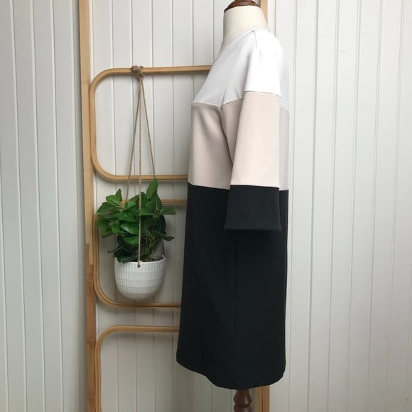 Shona Joy Tri-Colour Band Short Sleeve Dress - Picture 5 of 8